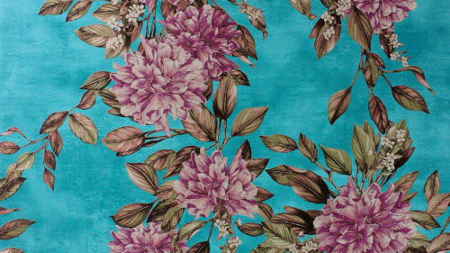 Rhodora W7022-01